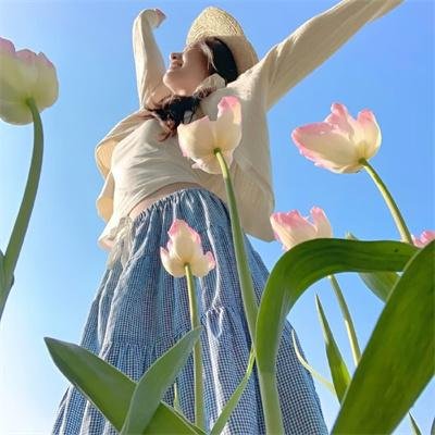 宝米恰恰 高清封面
