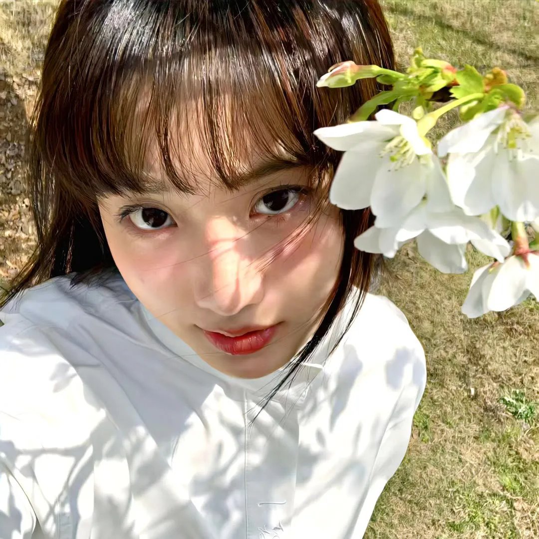 一座岛的永恒 在线观看