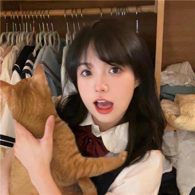 圆月映花都 在线观看